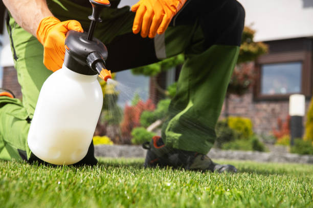 Best Mosquito Control Services  in Escondido, CA