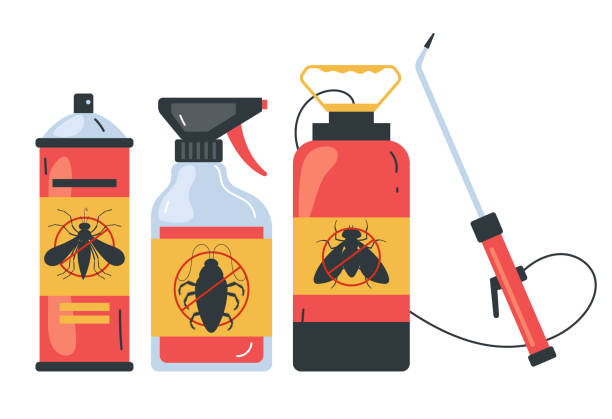 Best Exterminator Services  in Escondido, CA